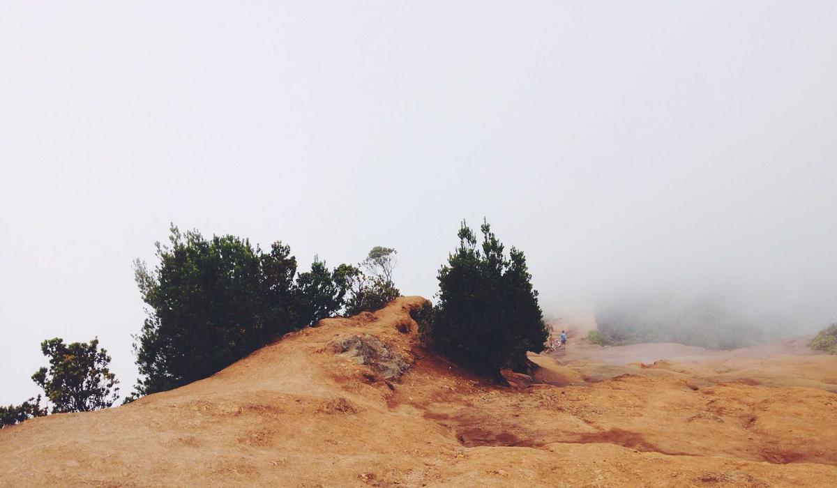 Kintorque — G2 Lights